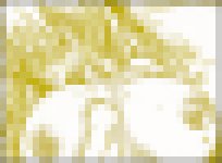 H漫-傳說中的母狗