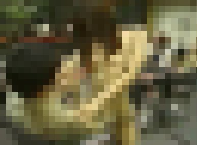 做愛之後四不要