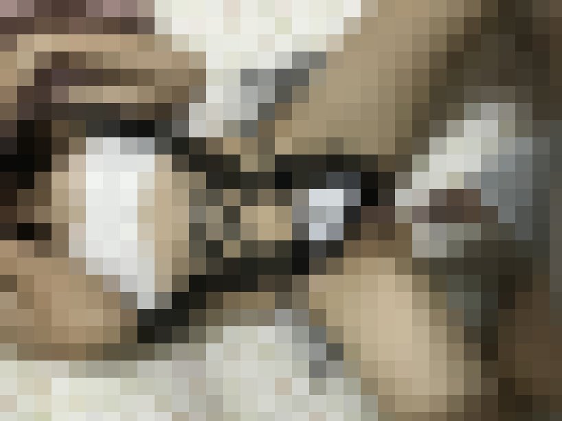 色學姐被學弟上_網愛聊聊性事