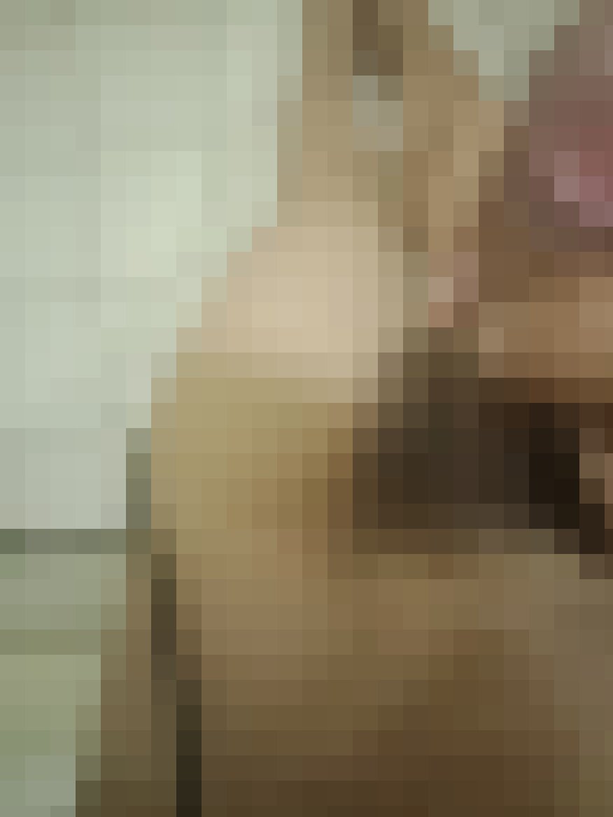 找色女_北部多人運動