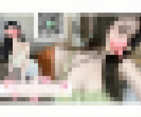telegram@bj4231 #狂野 #運動辣妹 高挑氣質公司女秘書_全台茶訊/樓鳳