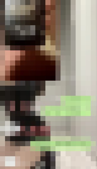新手小弟的心得分享_南部茶訊/樓鳳