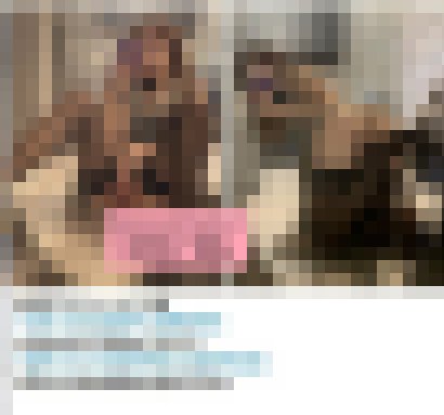 Gleezy賬號kk9003可愛的爆乳美腿妹妹尺度全開無套舔肉棒_北部茶訊/樓鳳