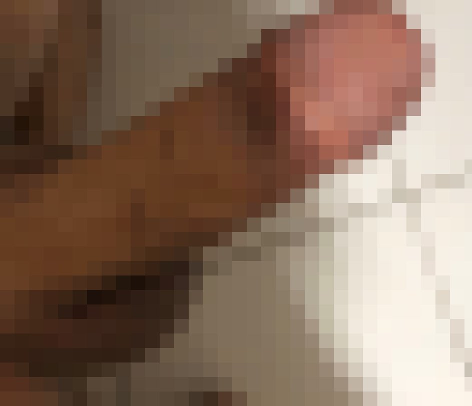 台中找一女固 可出門吃飯那種_中部聊聊性事