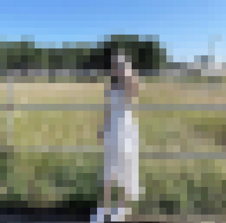 每天999+ 怕你不敢看_LINE群老司機色群