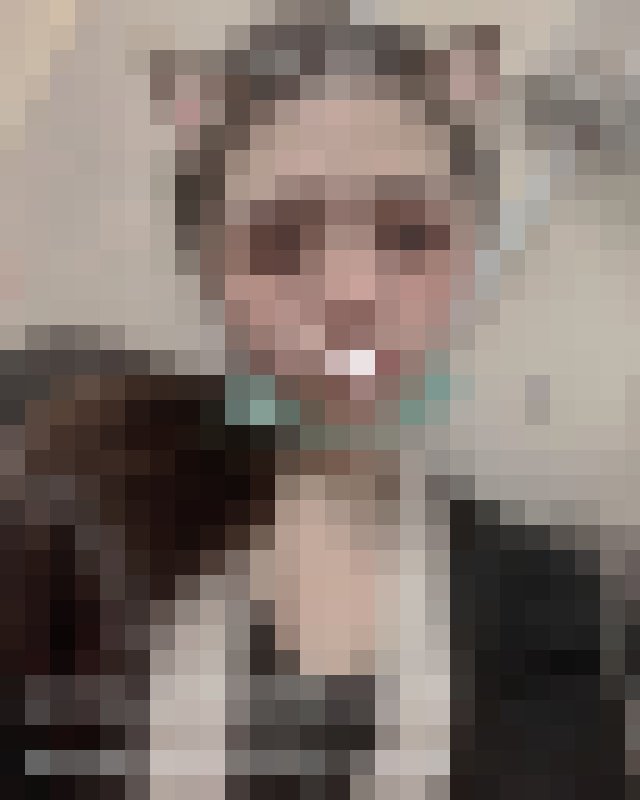 加賴790800有鄰家女孩氣質 很受宅男喜愛_北部茶訊/樓鳳