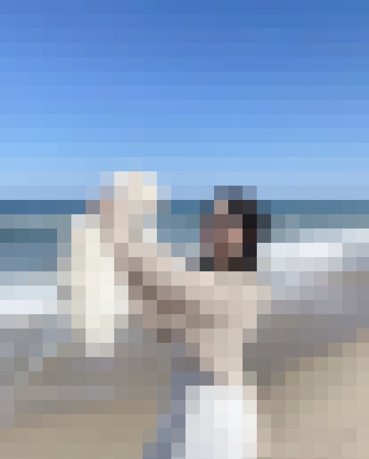每天999+ 怕你不敢看_LINE群老司機色群