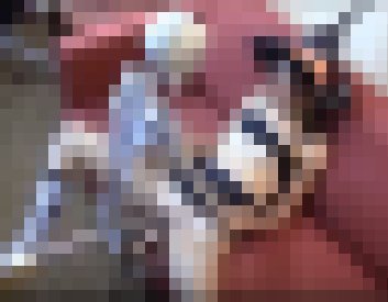 科技始終來自於人性_影片黃色笑話