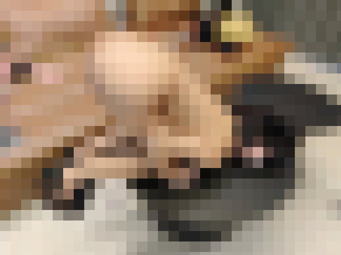 今晚是狗狗_北部聊聊性事