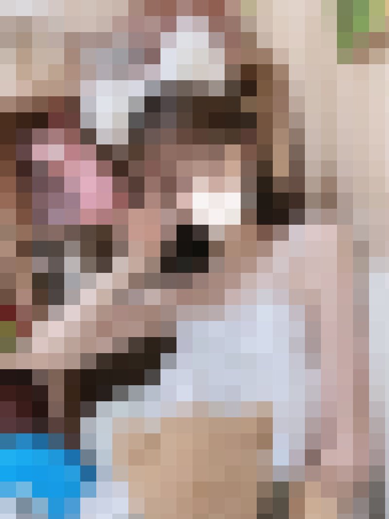 貧乳小可愛  毛少穴粉 緊緻水嫩 小隻好操控 性經驗不多 配合度很高_北部茶訊/樓鳳