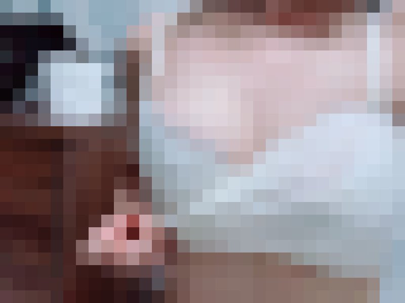 交友/聊色/哈拉有人要來嗎？我是女生_哈拉聊聊性事