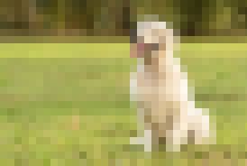 我的大頭貼__0