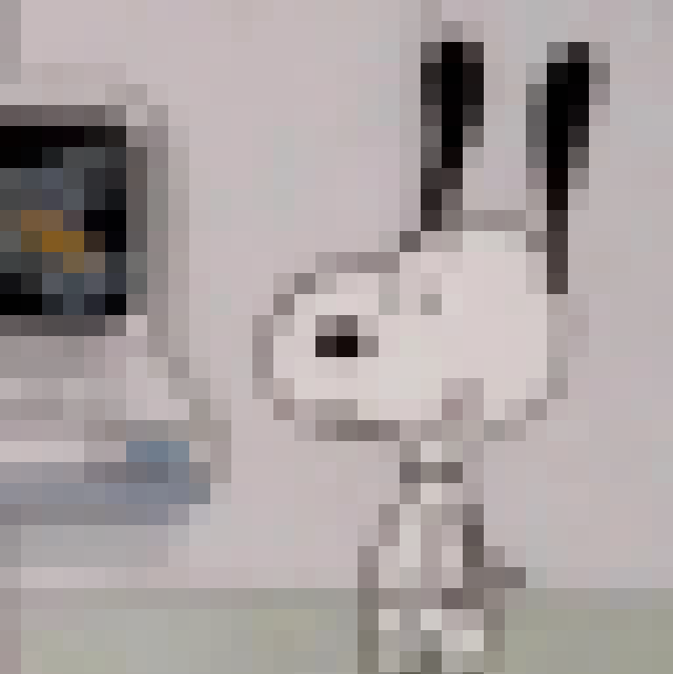 我的大頭貼__0
