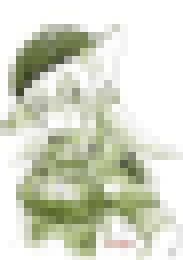我的大頭貼__0