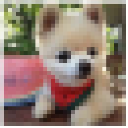 我的大頭貼__0