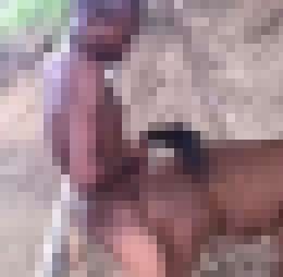 太厲害了，他把驢子幹到高潮了~_太厲害了，他把驢子幹到高潮了~_5