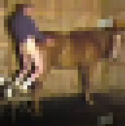 與漂亮的小母馬獸交_與漂亮的小母馬獸交_4