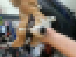 有色女可以認識嗎？_有色女可以認識嗎？_0