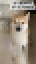 我的大頭貼__0