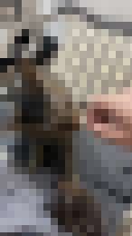 我的大頭貼__0