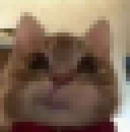 我的大頭貼__0
