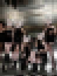 錦鯉十年老茶坊 美女如雲 全台皆可配送_錦鯉十年老茶坊 美女如雲 全台皆可配送_6
